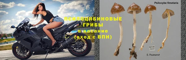 мяу мяу мука Нязепетровск