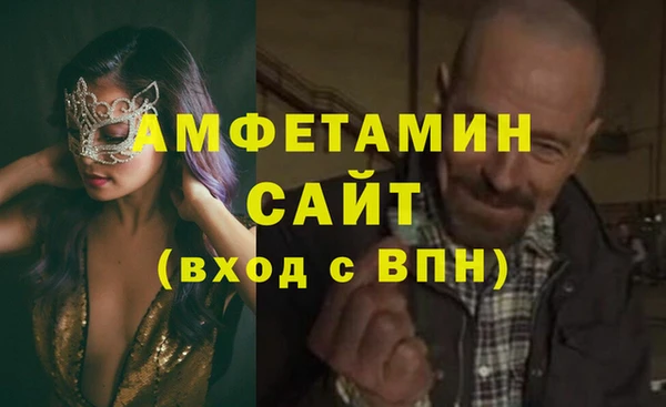 крисы Няндома