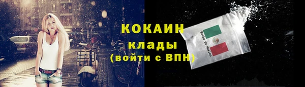 apvp Бикин