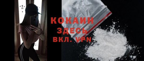 крисы Няндома