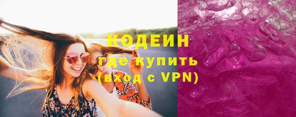 крисы Няндома